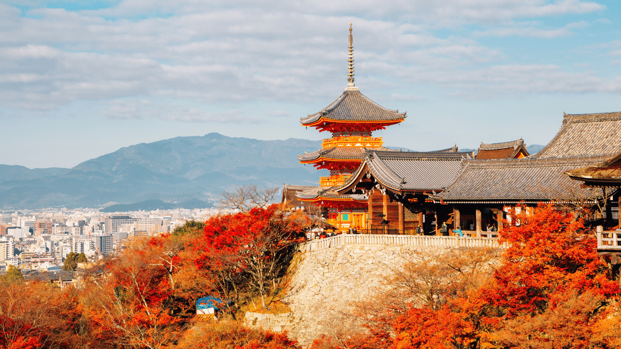 japanesemapletree